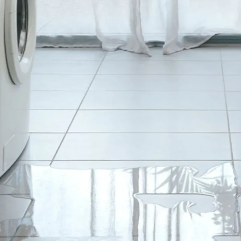 Appliance Leak Cleanup in Bradley, WV