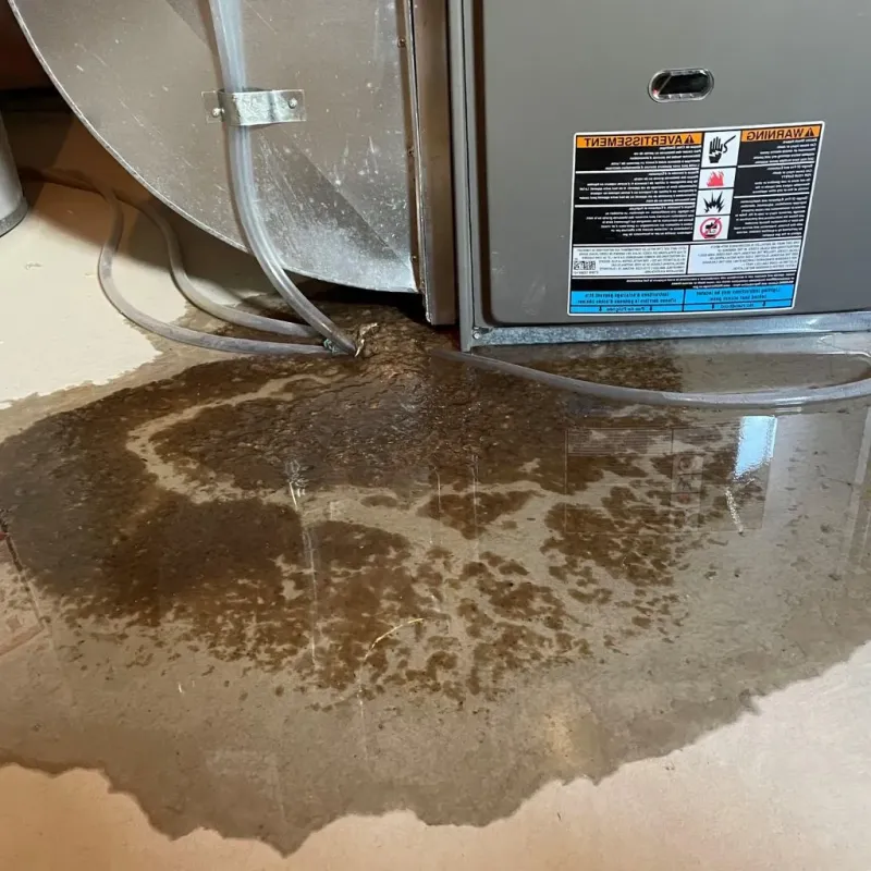 Pipe Burst and Leak Restoration in Bradley, WV