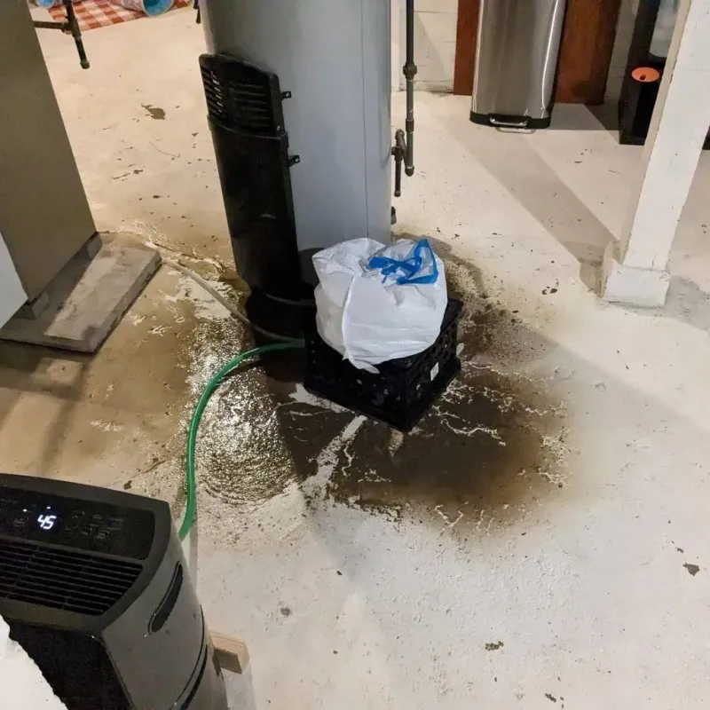 Sewage Backup Cleanup Service in Bradley, WV